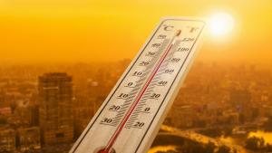 Лятото на 2022 г белязано от жеги и голяма суша