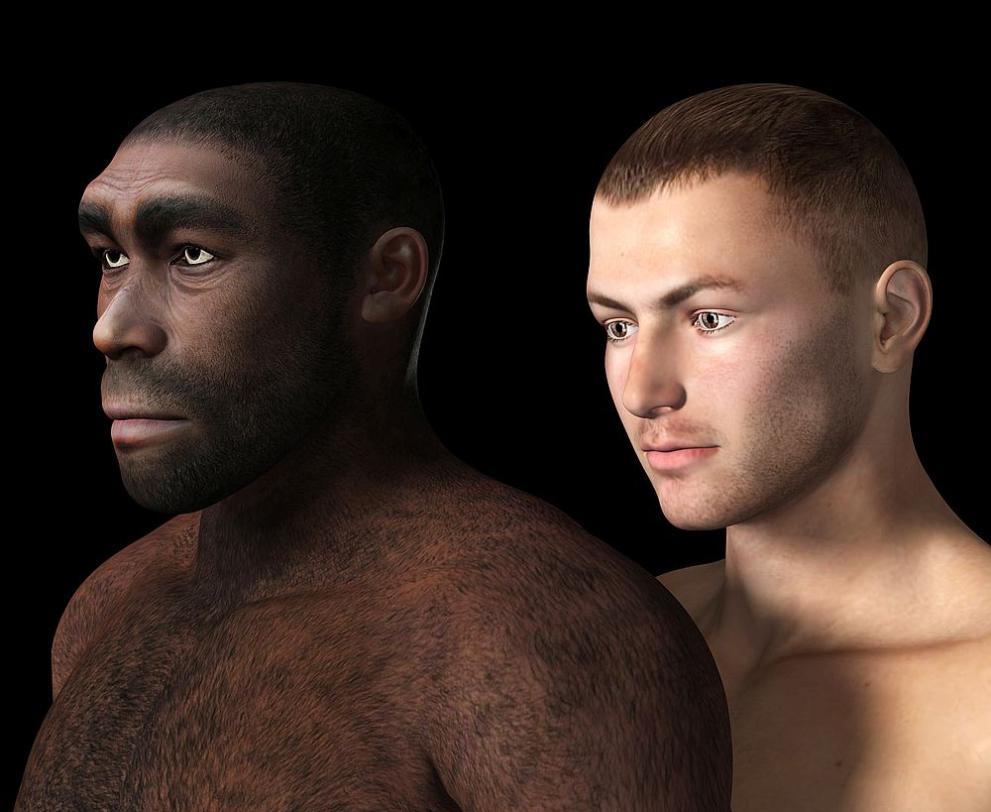 Дълго време неандерталците са били представяни като нашите малоумни, груби