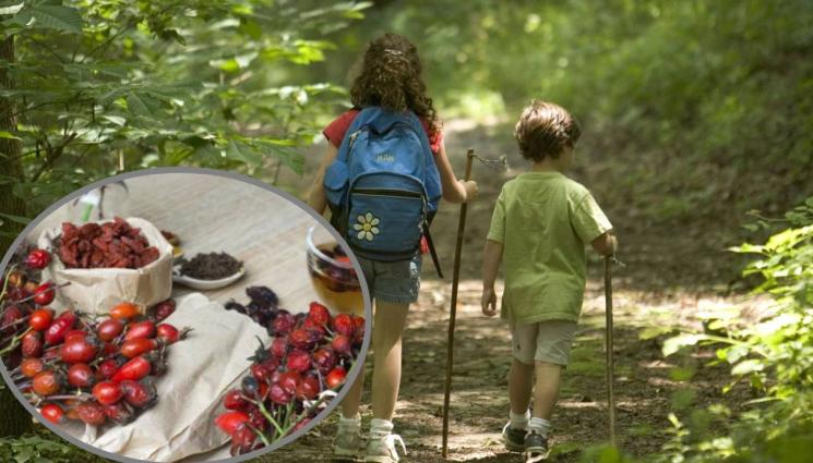 деца - Оставяйте децата да играят сред природата