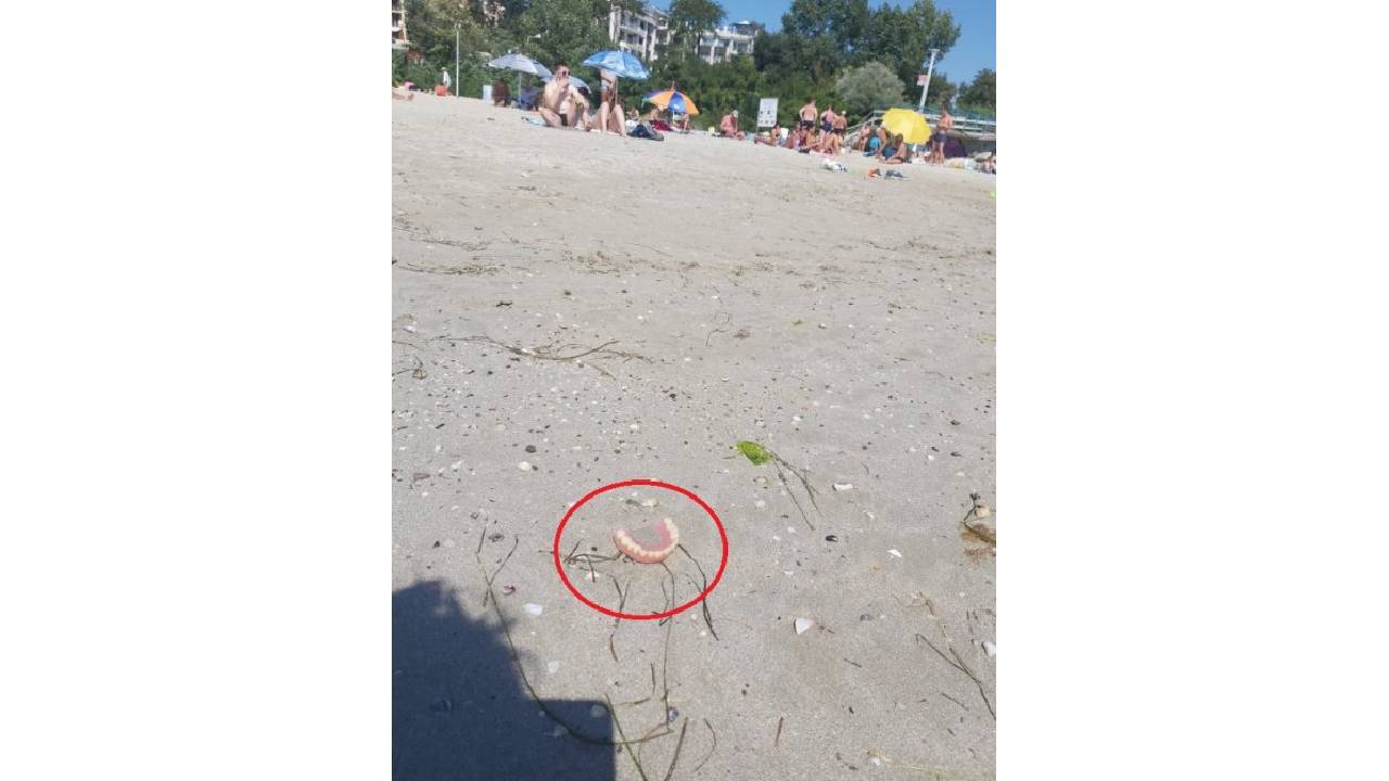 плаж Приморско