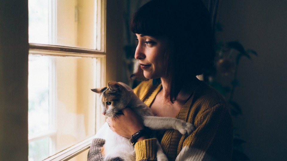 жена котка прозорец тъга депресия