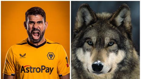 Диего Коста