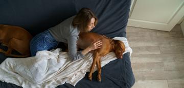 5 домашни средства за справяне с диария при кучето