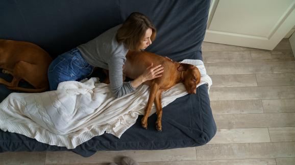 5 домашни средства за справяне с диария при кучето