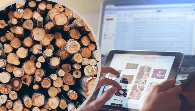 дърва измама - ВНИМАНИЕ! Злосторници налазиха нета, мамят с дърва за огрев