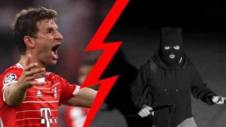 Мюлер крадци