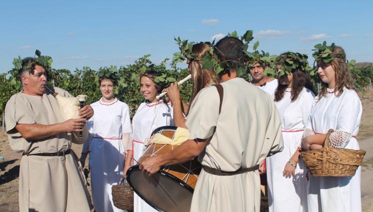 гроздобер - ВЯРА: Ной е първият лозар