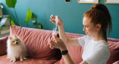 куче груминг