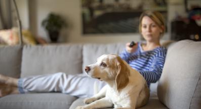 куче телевизия