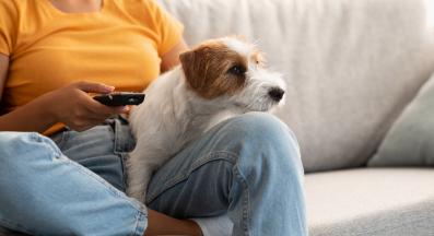 куче телевизия