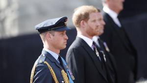 Принц Уилям сподели пред британски медии че процесията по време