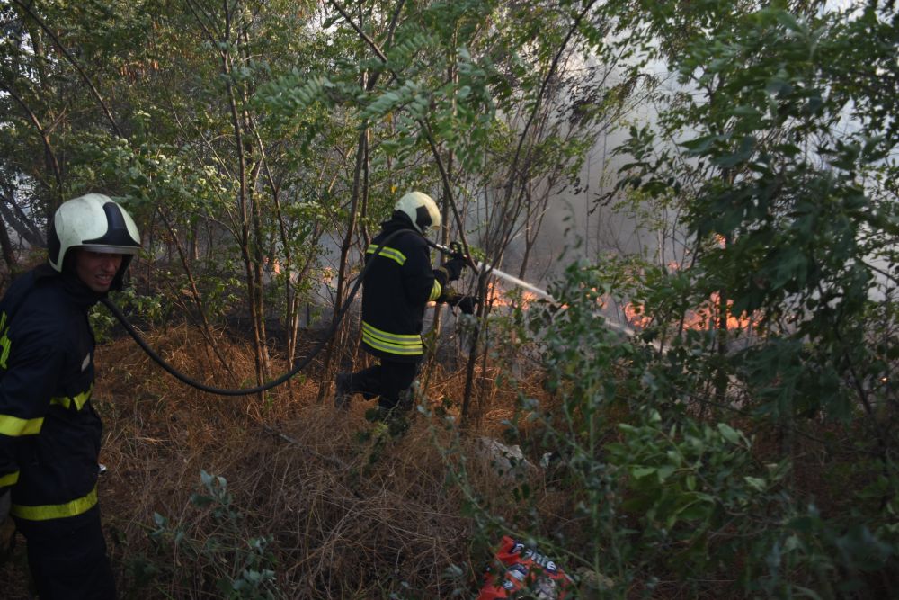 Запалени стари гуми и други отпадъци предизвикаха голям пожар в района на Западна промишлена зона във Варна
