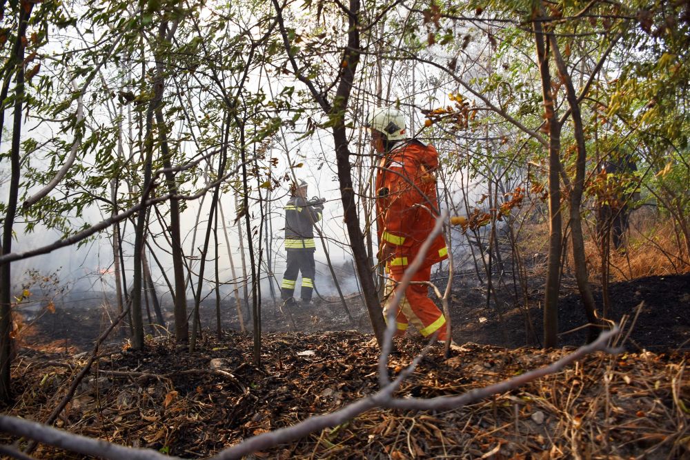 Запалени стари гуми и други отпадъци предизвикаха голям пожар в района на Западна промишлена зона във Варна