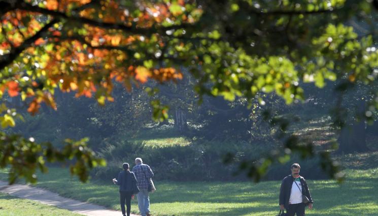есен - Чакаме циганското лято около Димитровден