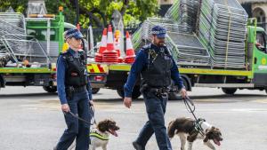 Лондонската полиция е провела мащабна операция срещу криминални лица използвали