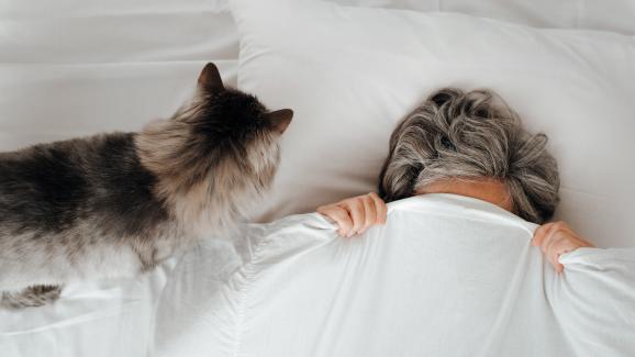 5 причини, поради които котката ви буди по едно и също време всеки ден