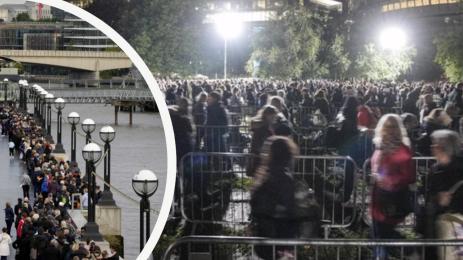 опашка кралица