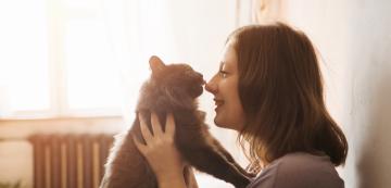 5 прости съвета как да „разговаряме“ с котката си