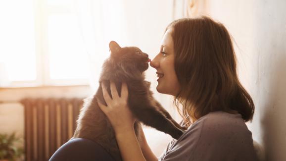 5 прости съвета как да „разговаряме“ с котката си