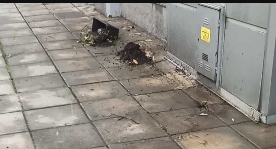 буря бургас