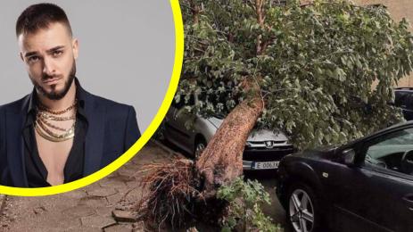 Криско буря