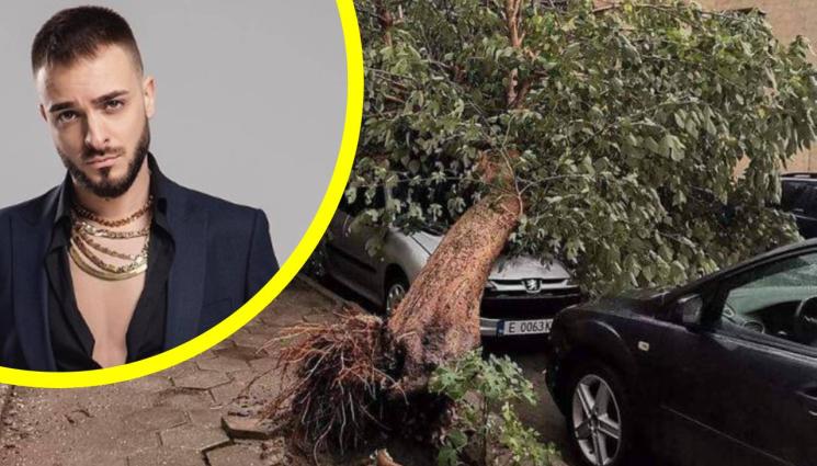 Криско буря - Буря спаси Криско от казармата! (СНИМКИ)