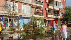 Мощна буря връхлетя Бургаско в събота вечерта Паднали дървета съборени