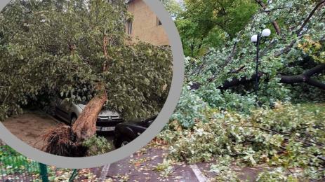 буря Гоце Делчев