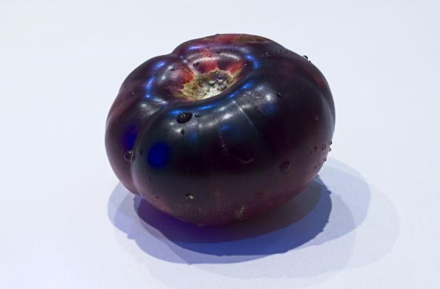 Нов генетично модифициран лилав домат може скоро да бъде забелязан