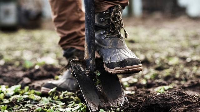 Фермер от Газа откри ценен артефакт, докато сади дърво (СНИМКИ)