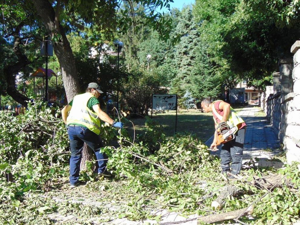 Работници от общинските предприятия Паркове и обредна дейност“ и Чистота“
