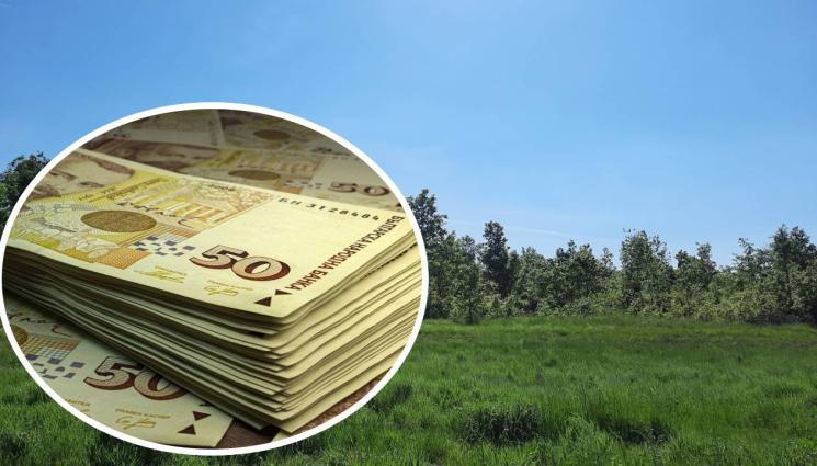 г - ПРОУЧВАНЕ НА „ТЕЛЕГРАФ“: Гори за над 335 бона на търг