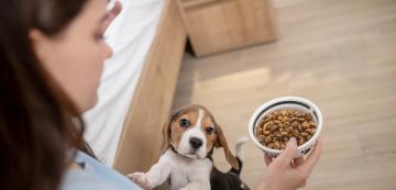 Могат ли хората да ядат кучешка храна?