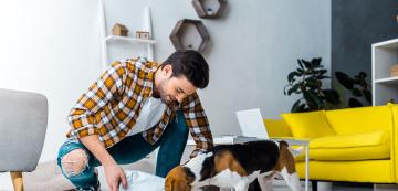 5 съвета как да ограничим кучешкия хаос по време на хранене