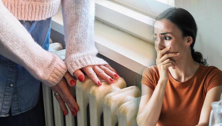 страх студ - СТУД НА КУТИЙКИ, ГЛАД НА ФИЛИЙКИ: Всеки пети българин дзиндзирика вкъщи