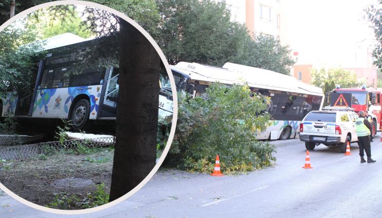 катастрофа автобус - СЛЕД КАТАСТРОФАТА С АВТОБУСА: Изписаха всички пострадали