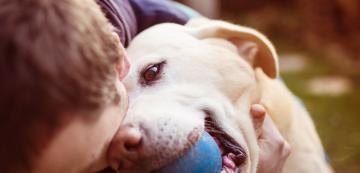 6 стоплящи сърцето начина, по които кучето показва, че ви обича