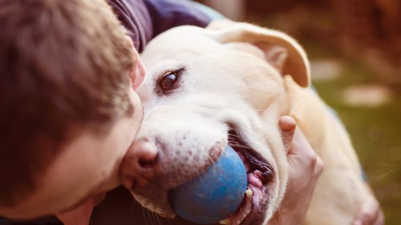 6 стоплящи сърцето начина, по които кучето показва, че ви обича