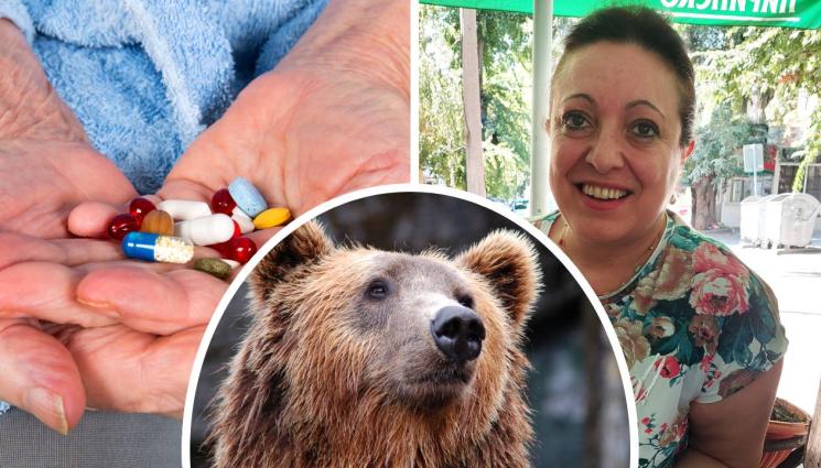 златно време - ЗЛАТНО ВРЕМЕ: Защо мечките в гората не ядат домати и краставици