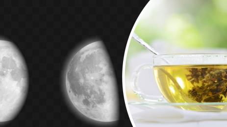 лунна диета дтокс