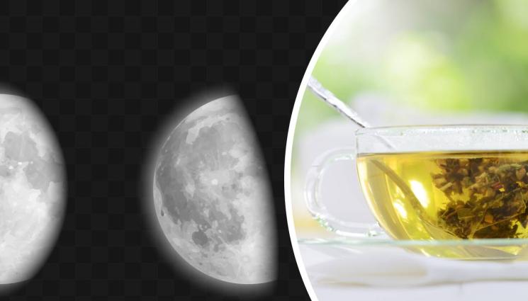 лунна диета дтокс - Детокс с диета на върколаци