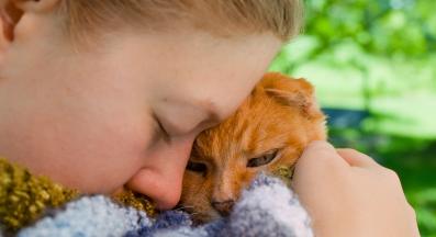 котка се гушка с човек