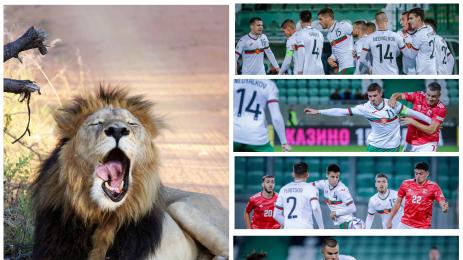 Национален отбор