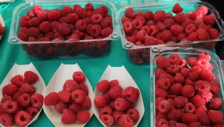 Малини - 4 месеца без дъжд в Рила: Обещават сочни малини до Коледа