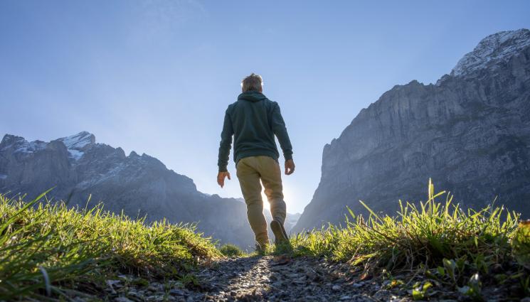 Ходене - СПОРЕД ПРОУЧВАНЕ: Ходенето на два крака развива музикалните и езиковите способности
