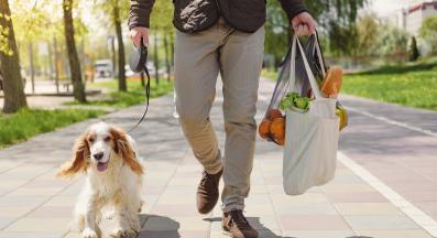 куче разходка