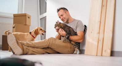 Котка и куче