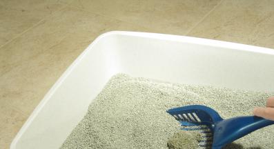 Котешка постелка за тоалетна