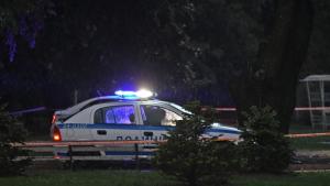 Мълния убити