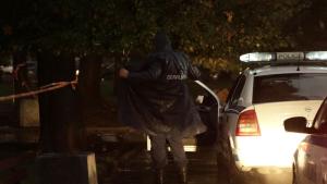 Мълния убити